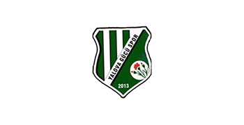 logolar_0099_4 yalovagücü